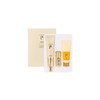 The Whoo Gongjinhyang Jinhaeyoon Wrinkle Sun Special Set SPF50+ PA++++