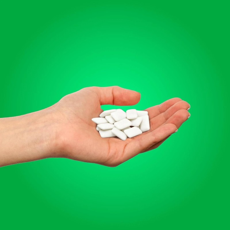 PUR Gum Aspartame Free Chewing Gum Spearmint 100% Xylitol 55