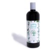 La Receta Shampoo Anticaspa La Receta