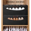 STO STO Shoe Organizer for Closet, Fits Up to 16