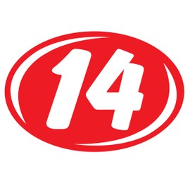 Bold Year Model Signs Black and Chartreuse, Oval, Adhesive Windshield Year Model Sign, Durable, Waterproof Vinyl EZ-Line EZ226 (White Red, 2014)