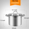 Duxtop Professional Stainless Steel Cookware Induction Ready Impact-bonded Technology (8.6Qt