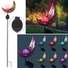Lunartec Garden Decoration Solar: Solar Moon Light with RGB LEDs