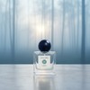 Fog dawn scent [dawn air] - 30ml / 안개 핀