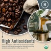 Healthy Bean Coffee Thrive Morning Roast - Low Acid Coffee