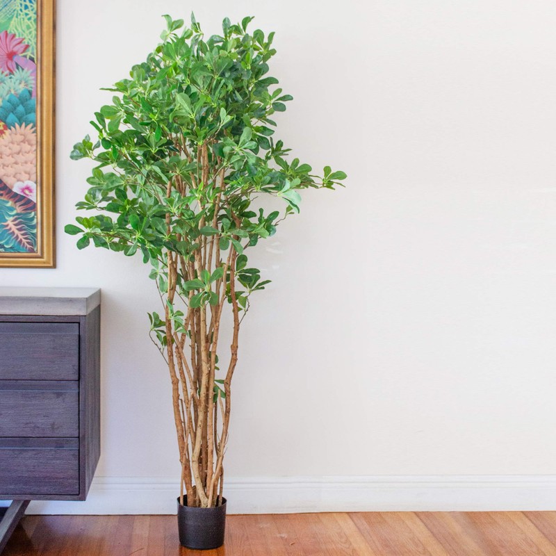 Nearly Natural Olive Silk Tree, 6', Black