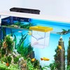 Sharplace Breeding Isolation Box Incubator Floating Square Separation Aquarium Breeder