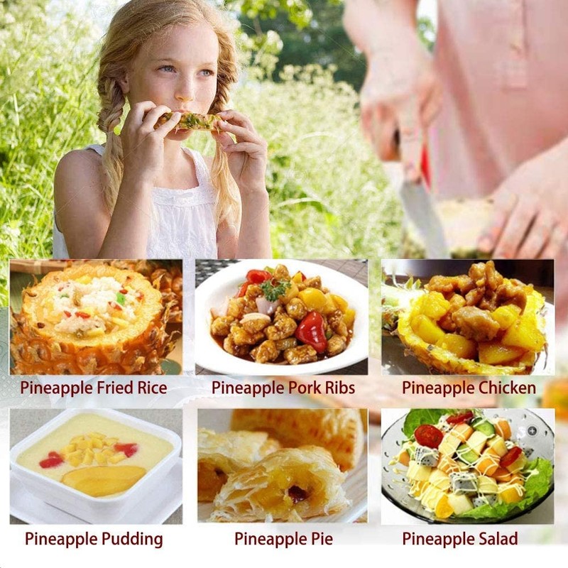 PIQIUQIU Pineapple Cutter, Pineapple Peeler Stainless Steel, Pineapple Corer Cutter,