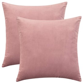 Rythome Set of 2 Comfortable Throw Pillow Cover for Bedding, Decorative Accent Cushion Sham Case for Couch Sofa, Soft Solid Velvet with Zipper Hidden - 16"x16", Mauve Pink