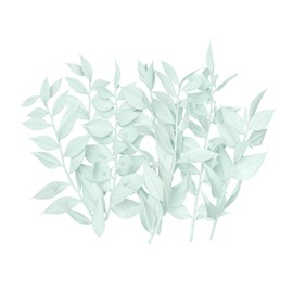 The Baked Studio The Baked Studio - Original Dried Flower Ruscus Set For Cake & Cupcake Decorating & Others Crafts (Light Green)