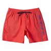 Quiksilver Men's Board Shorts, Double Piping, 19 Inches Length, Includes