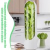 3 PCS Herb Keeper, Vegetable Storage Containers, Vegetable fresh keeping