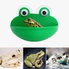 Pensino Frog Habitat Frog Dish Holder with Suction Cups, Cute