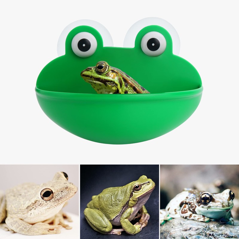 Pensino Frog Habitat Frog Dish Holder with Suction Cups, Cute