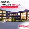 Westmark Coltello da chef/da cucina, Lunghezza lama: 20 cm, Lama