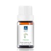 Gm Gumili Premium Freesia Fragrance Oil - Exquisite Aroma Blend