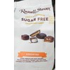 Russel Stover Sugar Free Chocolate Candy Assorted Flavors, 19.9 Oz,