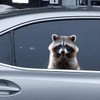 Animal Car Window Decals Funny 3D Weatherproof Decals (Raccoon)