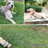 BTINESFUL Tie-Out Check Cord Long Rope Dog Leash, 8ft 12ft