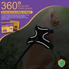Hkkpet Adjustable Cat Harness and Leash Set for Outdoor Walking,