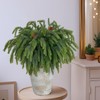 4PCS Christmas Norfolk Pine Branches with 2PCS Pine Cones Branches,18.5in