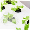 BESPORTBLE 100Pcs Hydroponic Plant Grow Covers Transparent Humidity Dome for