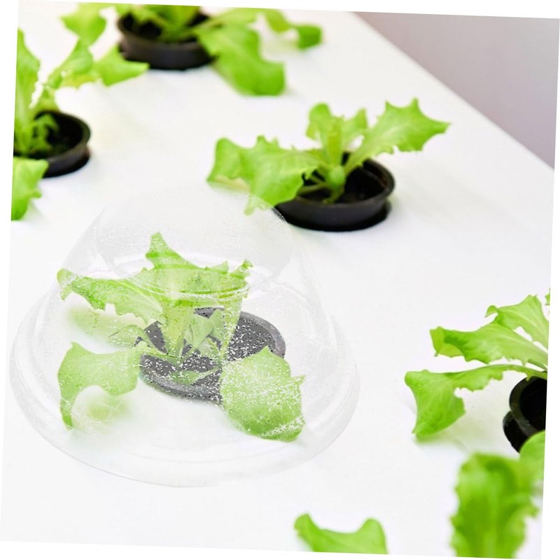 BESPORTBLE 100Pcs Hydroponic Plant Grow Covers Transparent Humidity Dome for