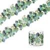 Enwye Eucalyptus Leaf Flower Border Stickers for Bulletin Boards Blackboard