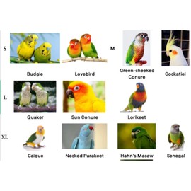 Pet Parrot Bird Harness Leash Adjustable Bird Flying Harness Traction Rope with Cute Wing for Parrots Pigeons Budgerigar Lovebird Cockatiel Mynah Outdoor Training Toy (XL, Blue)