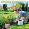Froidesente 16 Pcs Root Guard Gopher Proof Stainless Wire Steel