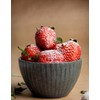 Sugar-Free Sweetening Vanilla Powder | Vanilla Sugar Alternative | Multipurpose,