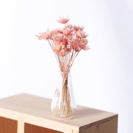 1Pcs Pink Mini Flower Vase, 1/12 Scale Miniature Dollhouse Accessories Decor, Doll House Mini Flower Bowl Elegant Decoration for Mini Scene，Miniature Vase，Dollhouse Décor
