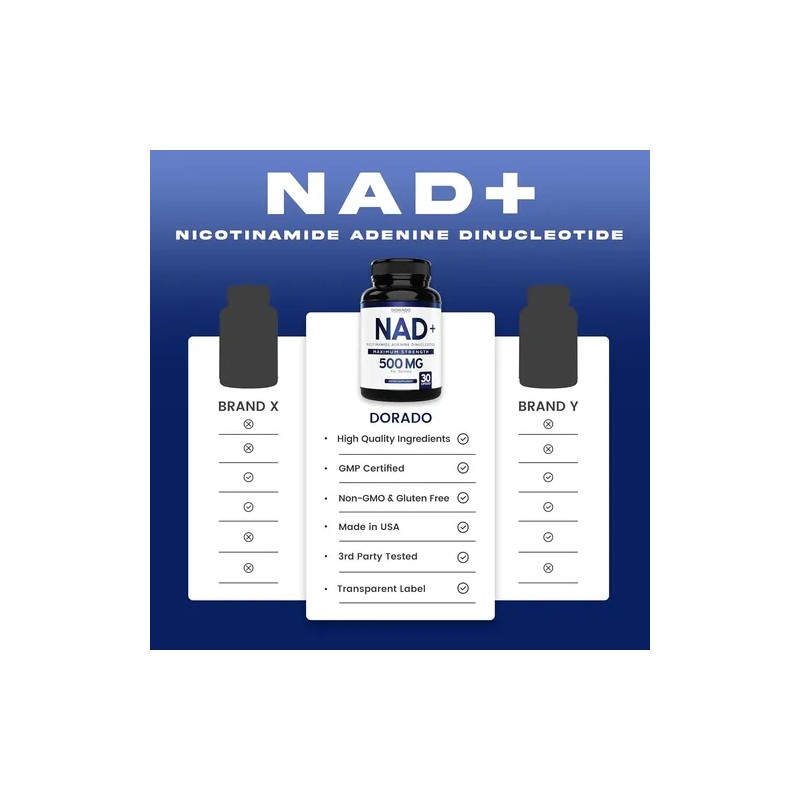 Dorado Nad Premium Suplemento Nmn Soporte Nicotinamida G80