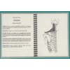 Brian Edwards Publishing MUSCULAR SYSTEM ANATOMY FLASH CARDS PAK'S by