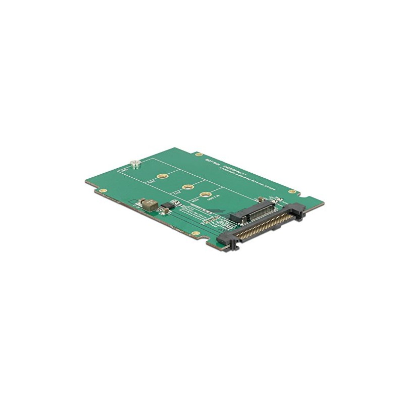 DeLOCK 2.5 Converter U.2 SFF 8639 > M.2 NGFF Nvme