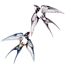 4 pcs Fake Tattoos Swallow Temporary Tattoo Art Girls Clavicle Wrist Waterproof Colour Black and White Tattoo