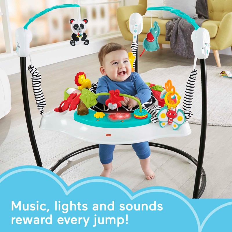 Fisher-Price Baby Bouncer Pink Petals Jumperoo Musical Activity Center with
