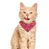 XIMA 6PCS Cat Bandana Collars with Removable Bow Tie for