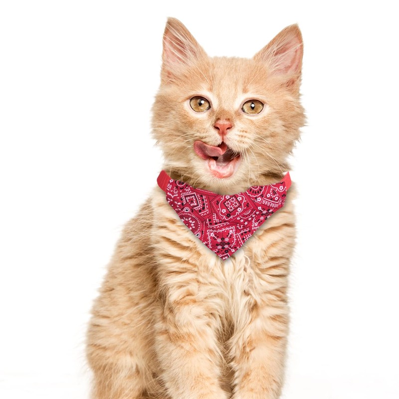 XIMA 6PCS Cat Bandana Collars with Removable Bow Tie for