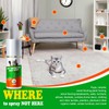 Premium Cat Deterrent Spray: 120ML Cat Repellent Indoor for Cat