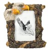 Figuren Shop GmbH Eagle Picture Frame - Bald Eagle Design,