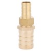 Reducing Fitting Brass Barbed Reducing Bushing Female Thread Pipe Fitting