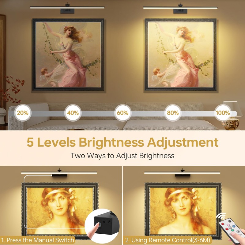 YQNLIFA 23.6 Inch Picture Light for Wall, 2 Pack 6400mAh