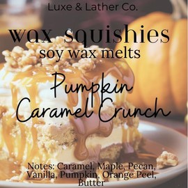 Wax Squishies - 7.5 oz Variety of Scents! Squeeze Wax, Squeezable Wax Melts home fragrance amazing scents:_Pumpkin Caramel Crunch 