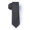 Wild Ties Pi Black Microfiber Skinny Tie