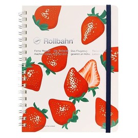 Delphonics Rolburn Notebook with Pocket, Large Hakata Limited Edition (Amaou White)