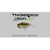 JACKALL TN/38 Trigon Black Sea Bream Special Skeleton Shrimp