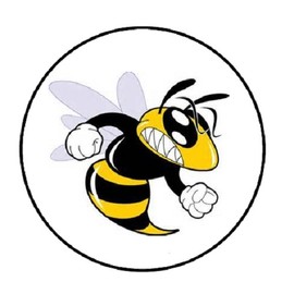 48 Angry Bee !!! ENVELOPE SEALS LABELS STICKERS 1.2" ROUND