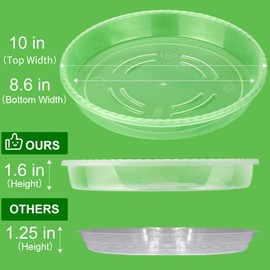 MUDEELA 6 Pack of 10 inch Plant Saucer, Durable Plastic Plant Trays for Indoors, Clear Plastic Flower Plant Pot Saucer, Made of Thicker, Stronger Plastic, with Taller Design