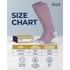 Pembrook Light Compression Socks - 3 Pairs | 8-15 mmHg